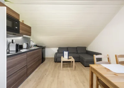 Apartmán 4 - Apartmány Strážné, Krkonoše